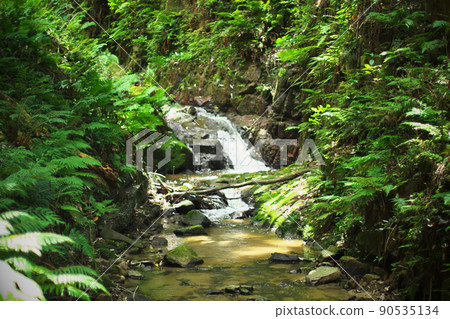 在權根河 在權根河 90535134
