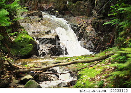 在權根河 在權根河 90535135