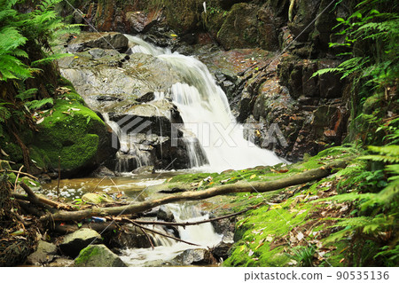 In the Gongen River In the Gongen River 90535136