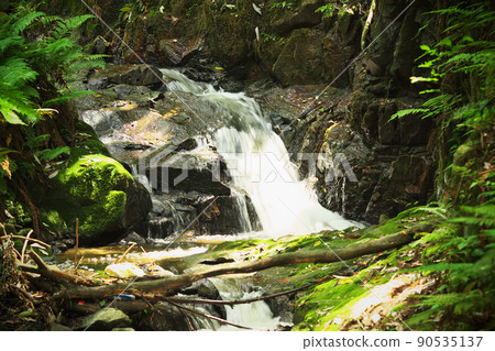 In the Gongen River In the Gongen River 90535137