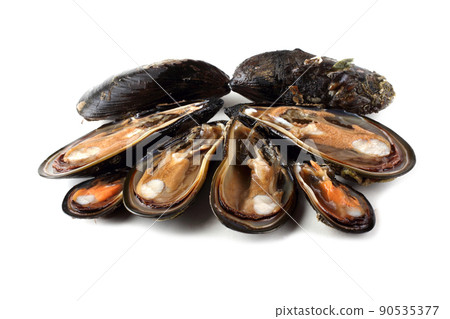Mussels 90535377