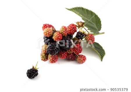 Cluster of blackberries 90535379