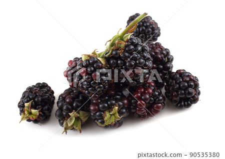 Blackberries 90535380