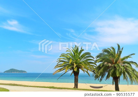 Palm trees, hammocks and beaches 90535577