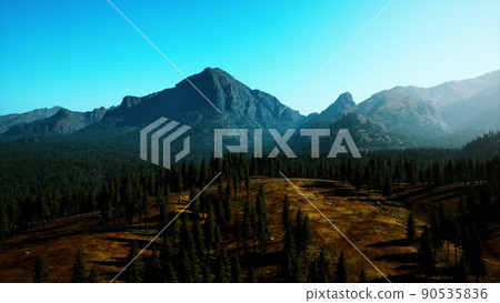 Rocky mountain range with trees 90535836