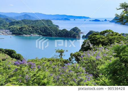 藍花楹節（宮崎縣） 90536428