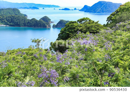 Jacaranda Festival (Miyazaki Prefecture) Jacaranda Festival (Miyazaki Prefecture) 90536430