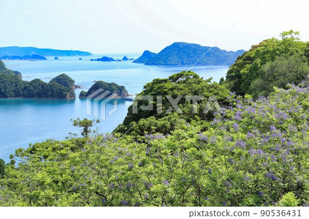 Jacaranda Festival (Miyazaki Prefecture) Jacaranda Festival (Miyazaki Prefecture) 90536431