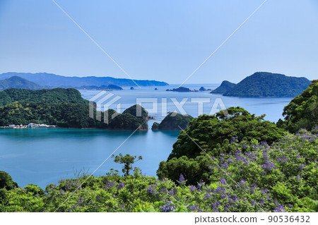 Jacaranda Festival (Miyazaki Prefecture) Jacaranda Festival (Miyazaki Prefecture) 90536432