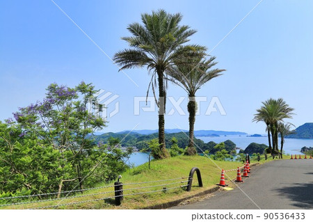 Jacaranda Festival (Miyazaki Prefecture) Jacaranda Festival (Miyazaki Prefecture) 90536433