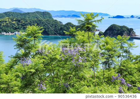 藍花楹節（宮崎縣） 90536436