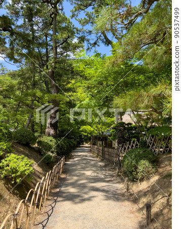 翠綠的栗林庭園（5月上旬） 90537499