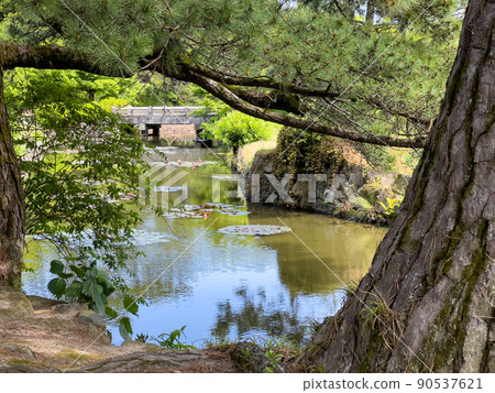 翠綠的栗林庭園（5月上旬） 90537621