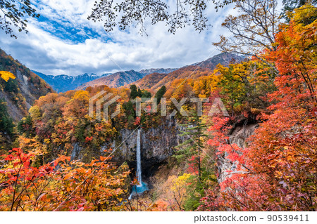 White water fall and autumn leaves White water fall and autumn leaves 90539411