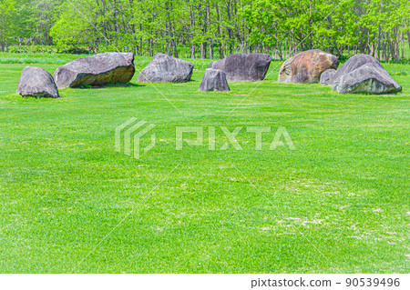 新鮮的綠色北海道 新鮮的綠色北海道 90539496