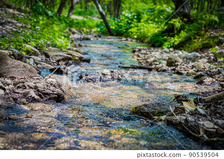 表面上是綠色的 90539504