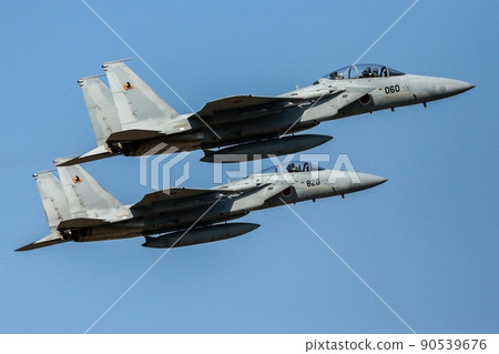 Japan Air Self-Defense Force Japan Air Self-Defense Force 90539676
