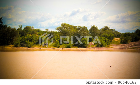 Panoramic landscape view to sahel and oasis Dogon Tabki with flooded river at Dogondoutchi, Niger 90540162