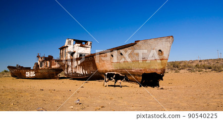 Panorama of ship cemetery near Moynaq at sunrise with the cows, Karakalpakstan, Uzbekistan Panorama of ship cemetery near Moynaq at sunrise with the cows, Karakalpakstan, Uzbekistan 90540225