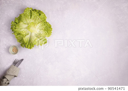 Green salad leaves on a plate served with pine nuts Green salad leaves on a plate served with pine nuts 90541471