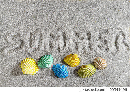 colorful shells 90541496