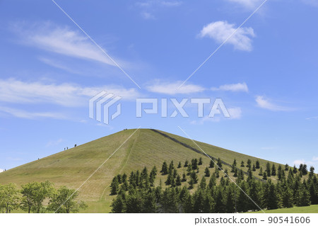 北海道 / 札幌 Moerenumakoen Mt. Moere 90541606