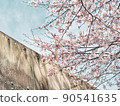 Cherry blossoms blooming near the wall of the park 90541635