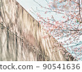 Cherry blossoms blooming near the wall of the park 90541636
