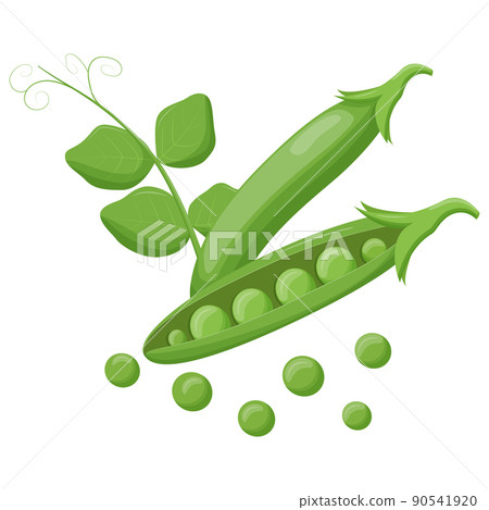 Cute green pea isolated on white background. Vegetarian food. Flat vector illustration. Cute green pea isolated on white background. Vegetarian food. Flat vector illustration. 90541920