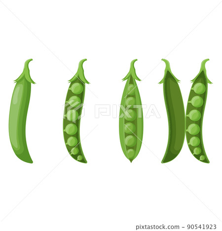 Set of peas isolated on white background. Flat vector illustration 90541923