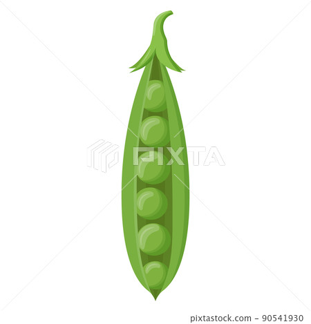 Cute green pea isolated on white background. Vegetarian food. Flat vector illustration. 90541930