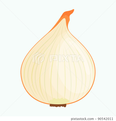 Half of onion isolated on background. Flat vector illustration Half of onion isolated on background. Flat vector illustration 90542011