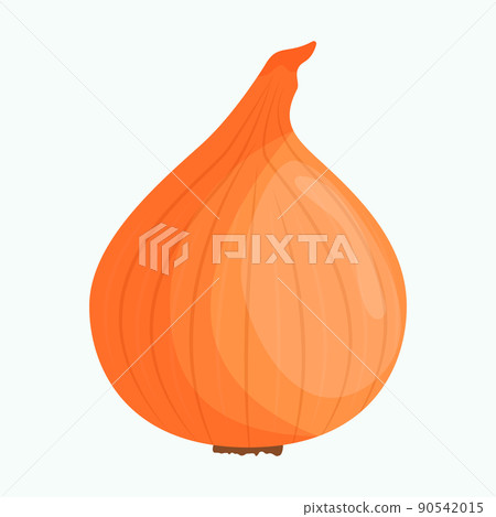 Whole onion isolated on background. Flat vector illustration Whole onion isolated on background. Flat vector illustration 90542015