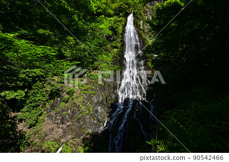 來自天瀧 來自天瀧 90542466
