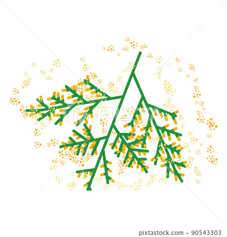 Illustration of allergen plant of cypress pollinosis Illustration of allergen plant of cypress pollinosis 90543303