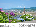 大分縣美國市響山公園的繡球花 90544676