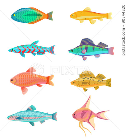 Red Zebra and Jewel Cichlid Vector Illustration 90544820