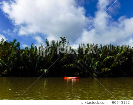 Jungle cruise on a beautiful blue sky and canal by boat Fun summer vacation to explore the river Background material Jungle cruise on a beautiful blue sky and canal by boat Fun summer vacation to explore the river Background material 90545132