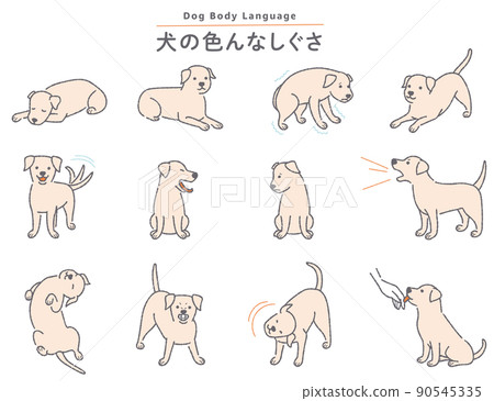 Various dog gesture illustration set 90545335
