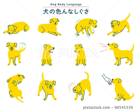 Various dog gesture illustration set 90545339