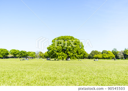 與綠色和藍天的風景 與綠色和藍天的風景 90545503