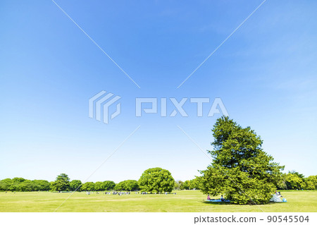 與綠色和藍天的風景 與綠色和藍天的風景 90545504