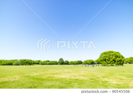 與綠色和藍天的風景 90545506