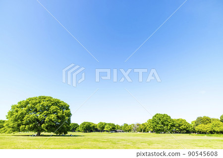 與綠色和藍天的風景 90545608