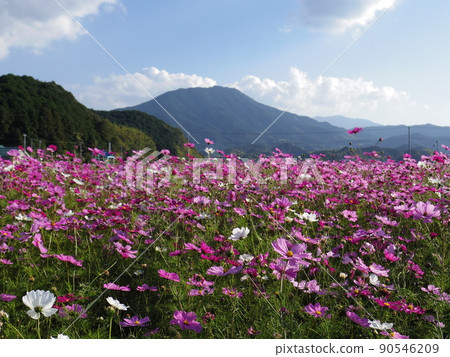 宇宙領域 宇宙領域 90546209