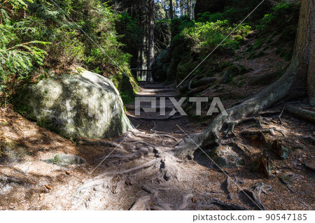 Pathway between sandstone formations in Adrspach Rocks, Czech Republic Pathway between sandstone formations in Adrspach Rocks, Czech Republic 90547185
