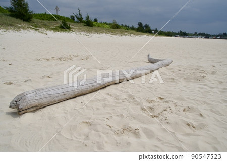 與那霸前濱的沙灘椅正好適合的浮木 90547523