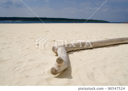 與那霸前浜白色沙灘上的浮木 90547524