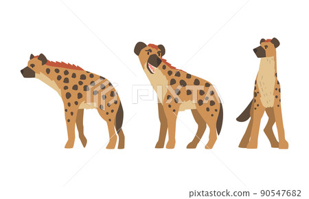 Hyena as Carnivore Mammal with Spotted Coat and Rounded Ears Standing Vector Set 90547682