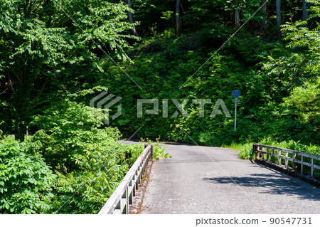 [National Highway 157] Bridge over the valley 90547731